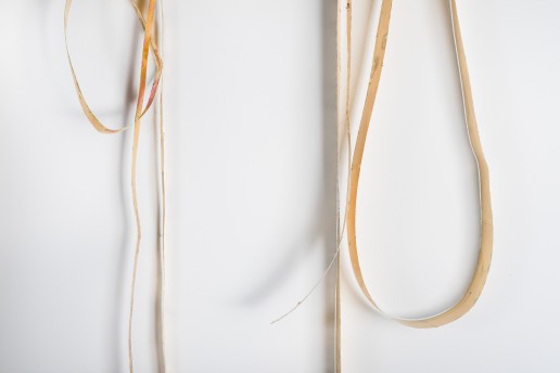 Strips of gold foil loop and stretch across the top and bottom of the photo on a white gallery wall